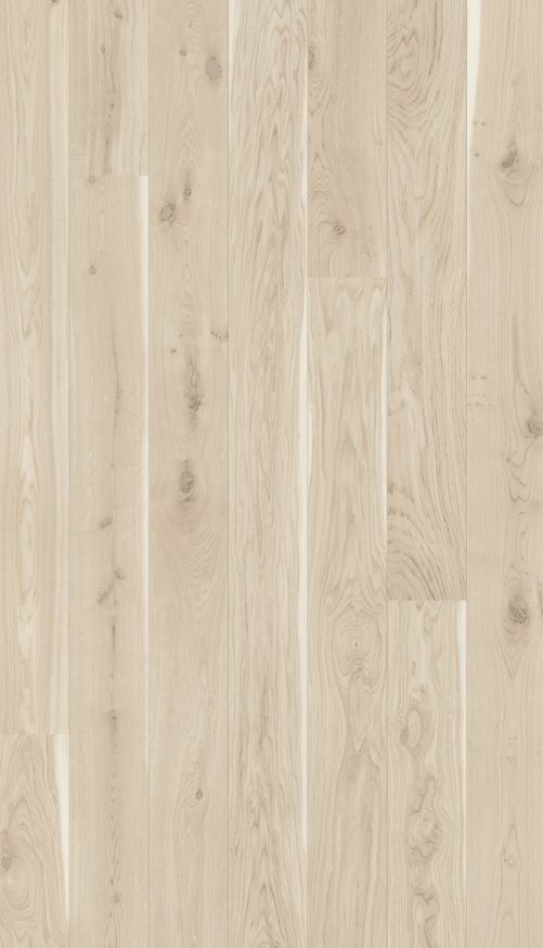 Hele tammeparketi lähedalt puitpinna tekstuur.