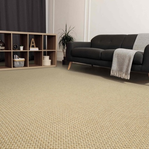 Elutoa vaip koos diivani ja riiuliga