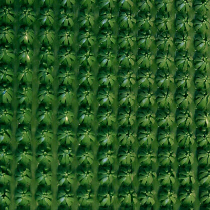 Droonifoto tihedalt istutatud troopiliste palmupuudega