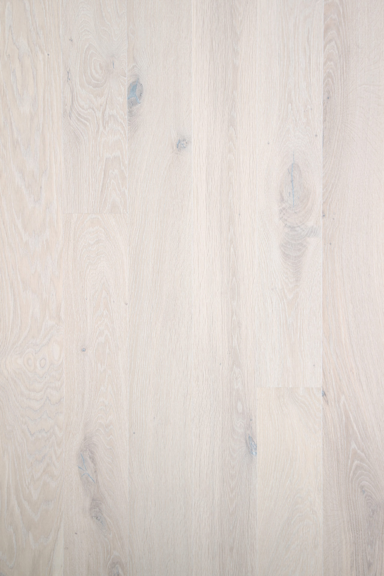 Kerge puitparkett hele ja kaasaegne põrandakate