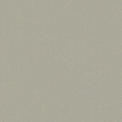 Siled hall seinapaneel ühes toonitud värviga taustal