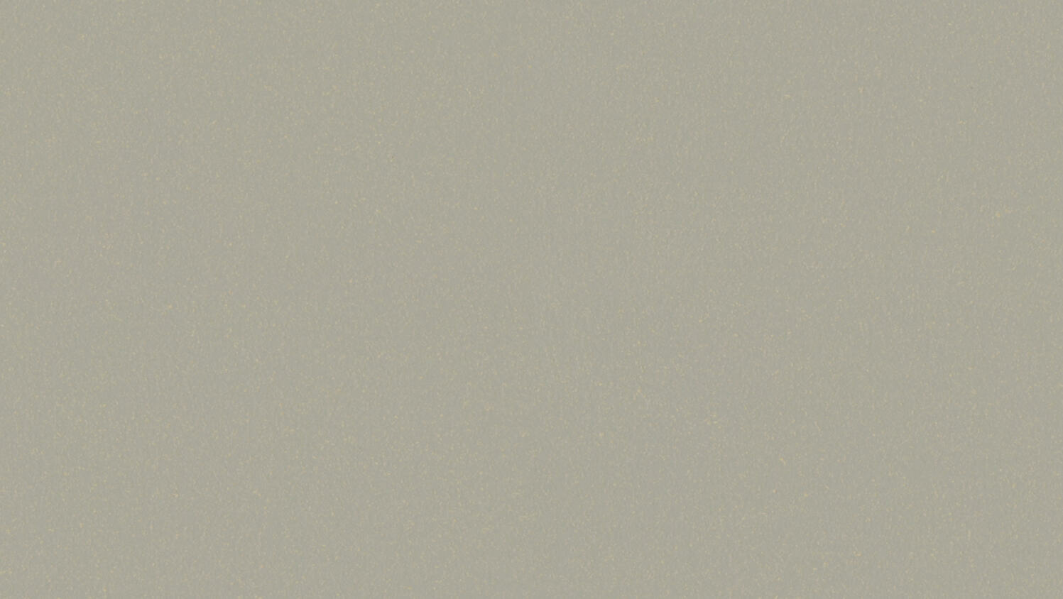 Siled hall seinapaneel ühes toonitud värviga taustal